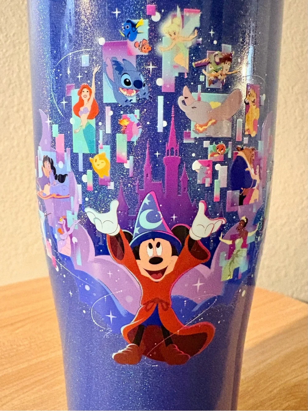Disney Parks brand new